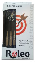 Steeldart Dart Pfeile R-3 von Roleo Darts - 19g inkl....