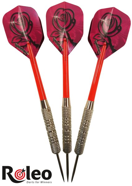 Steeldart Pfeile R-4 - 17g inkl. Dartbox - Ideal für Frauen