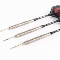 Steeldart Steel Dart Pfeile Keltik Carnac in 24g + 26g